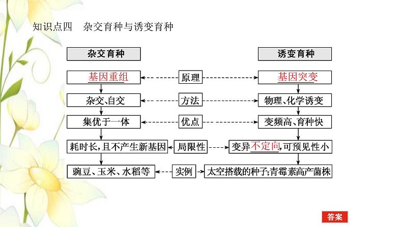 新教材高考生物一轮复习第三单元生物的变异育种与进化2染色体变异与育种课件必修207