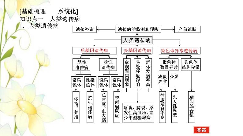 新教材高考生物一轮复习第三单元生物的变异育种与进化3人类遗传参件必修2课件PPT04