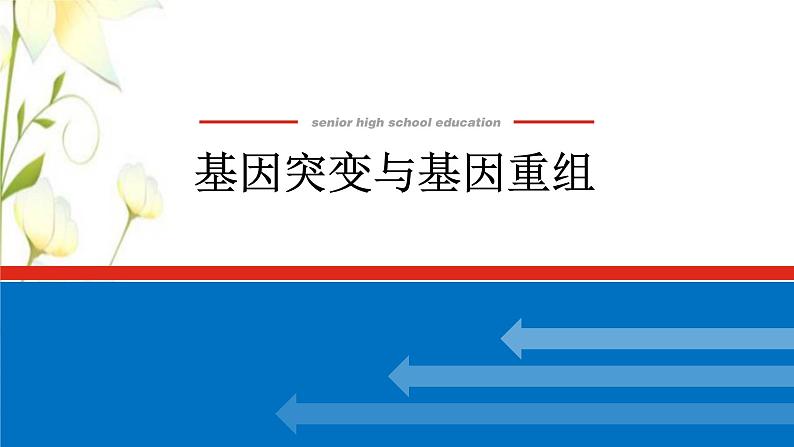 新教材高考生物一轮复习第三单元生物的变异育种与进化1基因突变与基因重组课件必修201