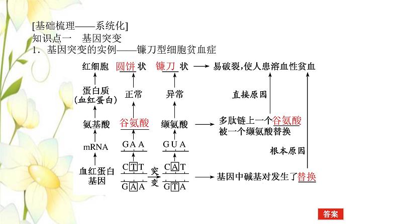 新教材高考生物一轮复习第三单元生物的变异育种与进化1基因突变与基因重组课件必修204