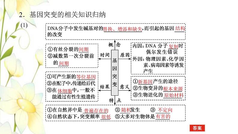 新教材高考生物一轮复习第三单元生物的变异育种与进化1基因突变与基因重组课件必修2第5页