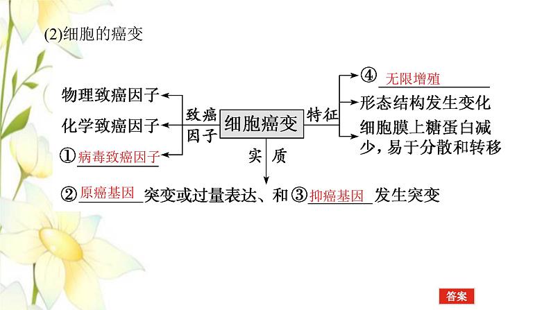 新教材高考生物一轮复习第三单元生物的变异育种与进化1基因突变与基因重组课件必修2第6页