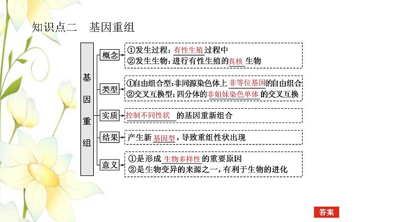 新教材高考生物一轮复习第三单元生物的变异育种与进化1基因突变与基因重组课件必修207