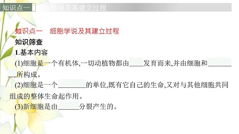 新教材高考生物一轮复习第一单元走近细胞组成细胞的分子第1讲走近细胞课件新人教版06