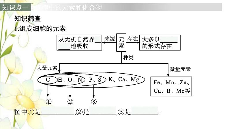 新教材高考生物一轮复习第一单元走近细胞组成细胞的分子第2讲细胞中的元素和化合物细胞中的无机物课件新人教版06