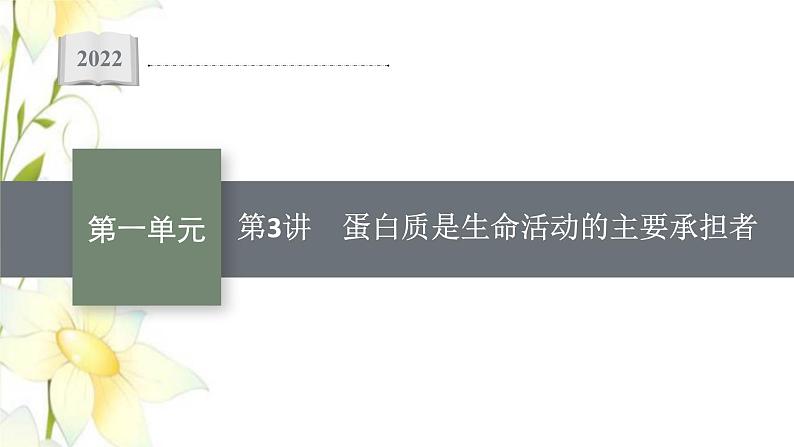 新教材高考生物一轮复习第一单元走近细胞组成细胞的分子第3讲蛋白质是生命活动的主要承担者课件新人教版第1页