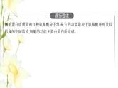 新教材高考生物一轮复习第一单元走近细胞组成细胞的分子第3讲蛋白质是生命活动的主要承担者课件新人教版