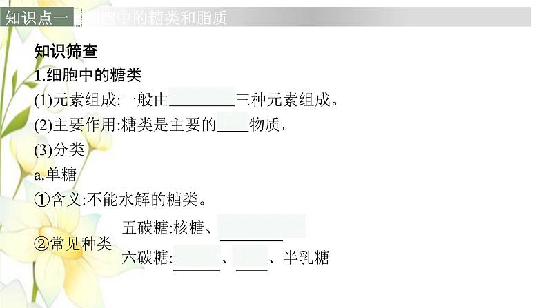 新教材高考生物一轮复习第一单元走近细胞组成细胞的分子第4讲细胞中的糖类和脂质核酸是遗传信息的携带者课件新人教版06