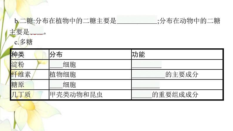 新教材高考生物一轮复习第一单元走近细胞组成细胞的分子第4讲细胞中的糖类和脂质核酸是遗传信息的携带者课件新人教版07