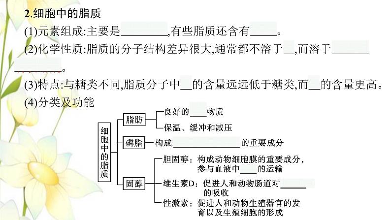 新教材高考生物一轮复习第一单元走近细胞组成细胞的分子第4讲细胞中的糖类和脂质核酸是遗传信息的携带者课件新人教版08