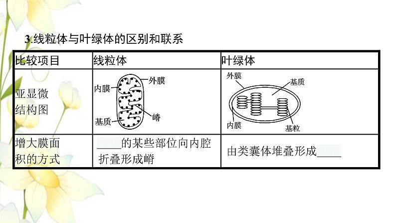 新教材高考生物一轮复习第二单元细胞的基本结构细胞的物质输入和输出第2讲细胞器之间的分工合作课件新人教版第8页