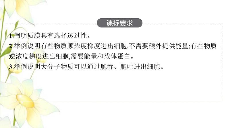 新教材高考生物一轮复习第二单元细胞的基本结构细胞的物质输入和输出第3讲细胞的物质输入和输出课件新人教版02