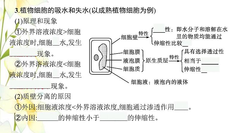 新教材高考生物一轮复习第二单元细胞的基本结构细胞的物质输入和输出第3讲细胞的物质输入和输出课件新人教版08