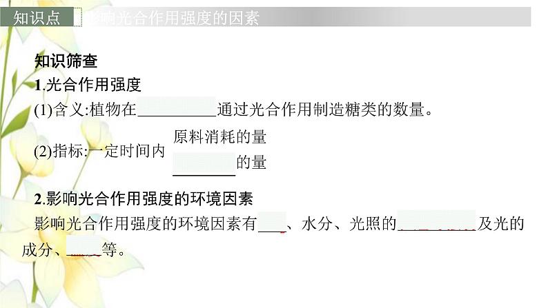 新教材高考生物一轮复习第三单元细胞的能量供应和利用第4讲影响光合作用强度的内外因素课件新人教版06