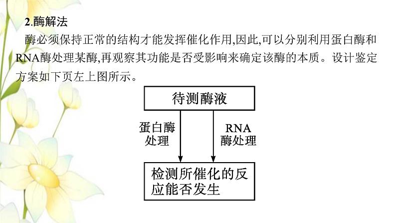 新教材高考生物一轮复习第三单元细胞的能量供应和利用能力素养提升课1酶的相关实验设计课件新人教版第6页