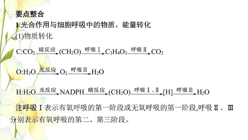 新教材高考生物一轮复习第三单元细胞的能量供应和利用能力素养提升课2光合作用与细胞呼吸的综合分析及应用课件新人教版06