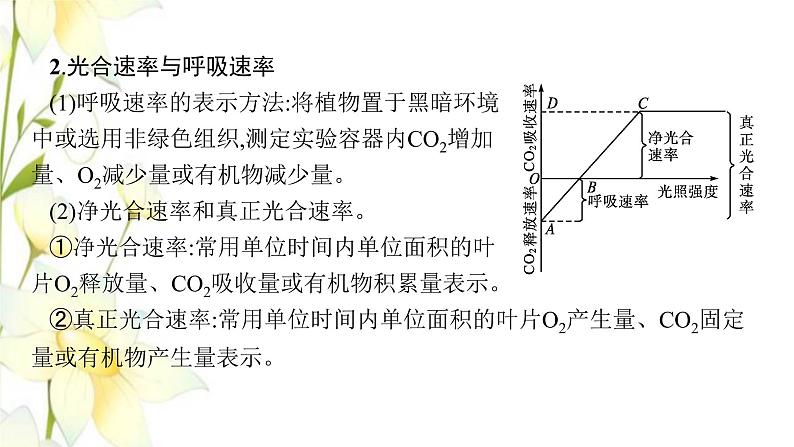 新教材高考生物一轮复习第三单元细胞的能量供应和利用能力素养提升课2光合作用与细胞呼吸的综合分析及应用课件新人教版08