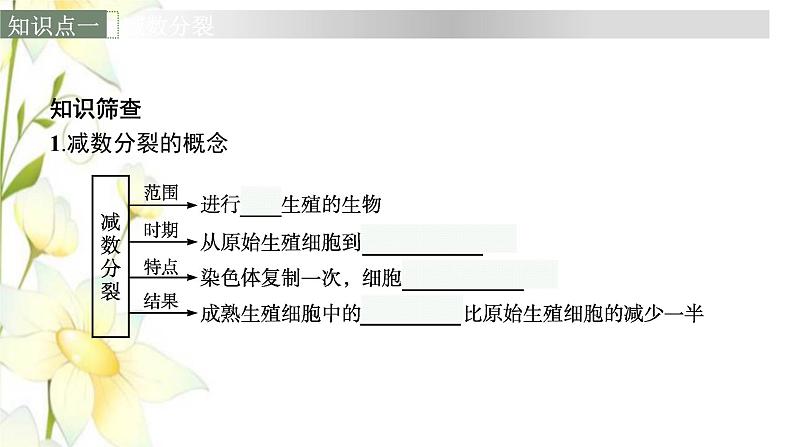 新教材高考生物一轮复习第四单元细胞的生命历程第2讲减数分裂和受精作用课件新人教版第6页