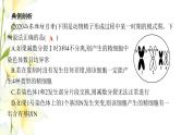 新教材高考生物一轮复习第四单元细胞的生命历程能力素养提升课3细胞分裂与可遗传变异DNA复制的关系课件新人教版