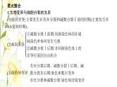 新教材高考生物一轮复习第四单元细胞的生命历程能力素养提升课3细胞分裂与可遗传变异DNA复制的关系课件新人教版