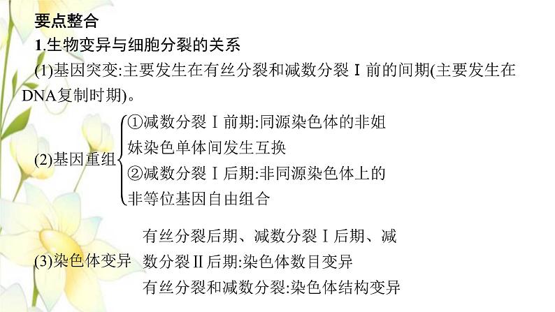 新教材高考生物一轮复习第四单元细胞的生命历程能力素养提升课3细胞分裂与可遗传变异DNA复制的关系课件新人教版04