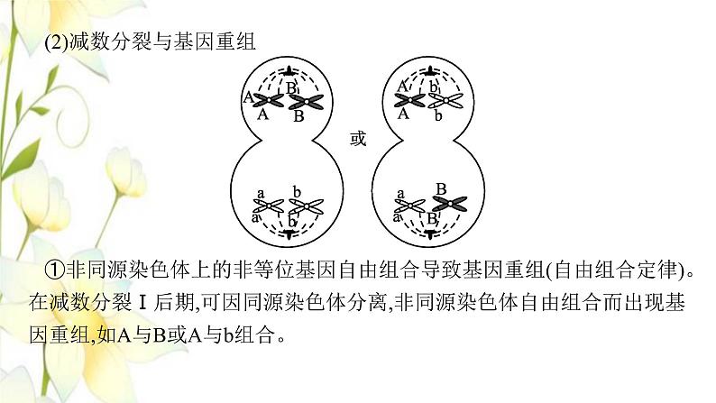 新教材高考生物一轮复习第四单元细胞的生命历程能力素养提升课3细胞分裂与可遗传变异DNA复制的关系课件新人教版06