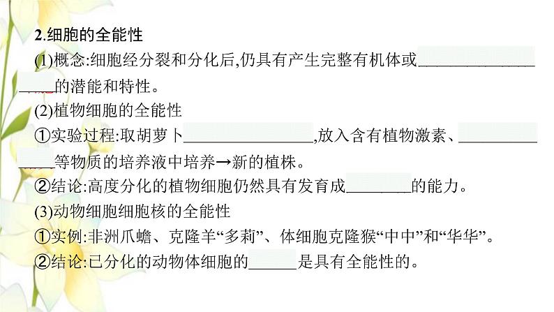 新教材高考生物一轮复习第四单元细胞的生命历程第3讲细胞的分化衰老和死亡课件新人教版第7页