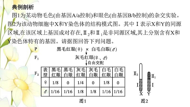 新教材高考生物一轮复习第五单元遗传因子的发现和伴性遗传能力素养提升课5基因定位的遗传实验设计与分析课件新人教版第2页