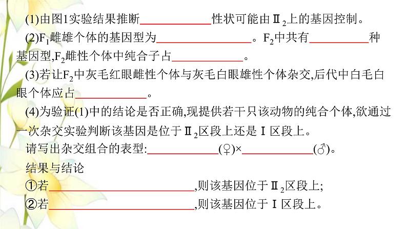 新教材高考生物一轮复习第五单元遗传因子的发现和伴性遗传能力素养提升课5基因定位的遗传实验设计与分析课件新人教版第3页