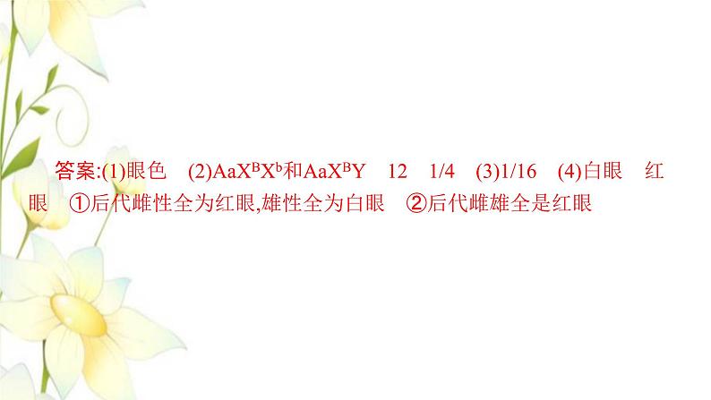 新教材高考生物一轮复习第五单元遗传因子的发现和伴性遗传能力素养提升课5基因定位的遗传实验设计与分析课件新人教版第4页