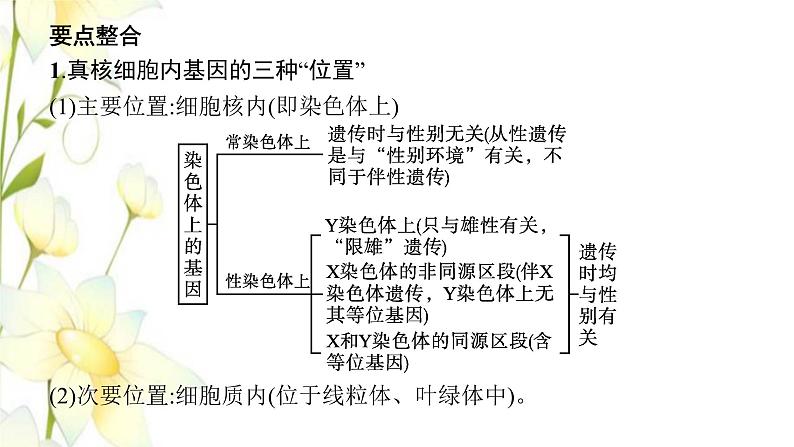 新教材高考生物一轮复习第五单元遗传因子的发现和伴性遗传能力素养提升课5基因定位的遗传实验设计与分析课件新人教版第6页