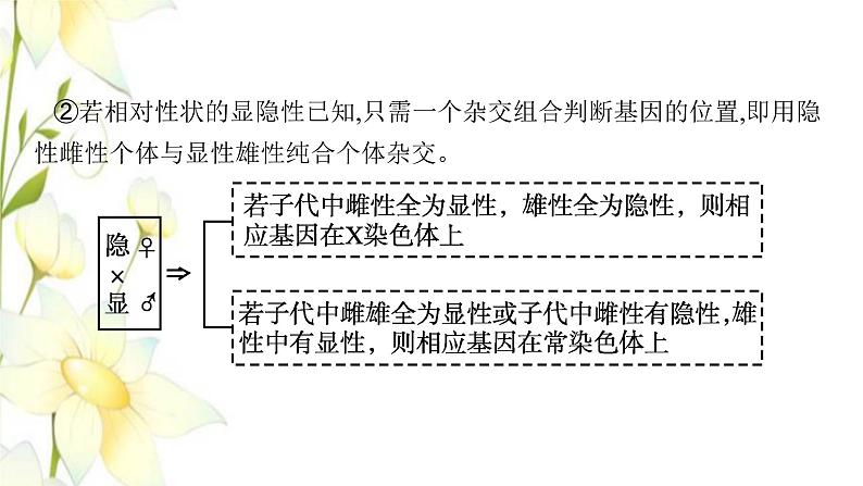 新教材高考生物一轮复习第五单元遗传因子的发现和伴性遗传能力素养提升课5基因定位的遗传实验设计与分析课件新人教版第8页