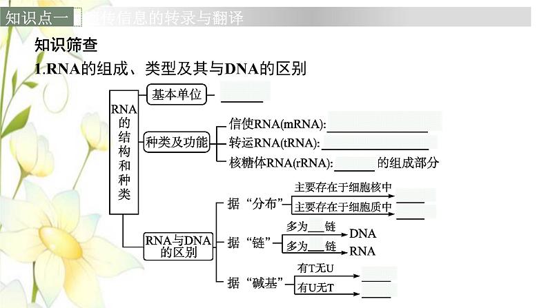 新教材高考生物一轮复习第六单元基因的本质与表达第3讲基因的表达课件新人教版06