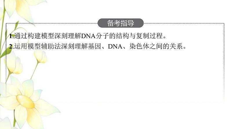 新教材高考生物一轮复习第六单元基因的本质与表达第2讲DNA的结构复制与基因的本质课件新人教版第3页