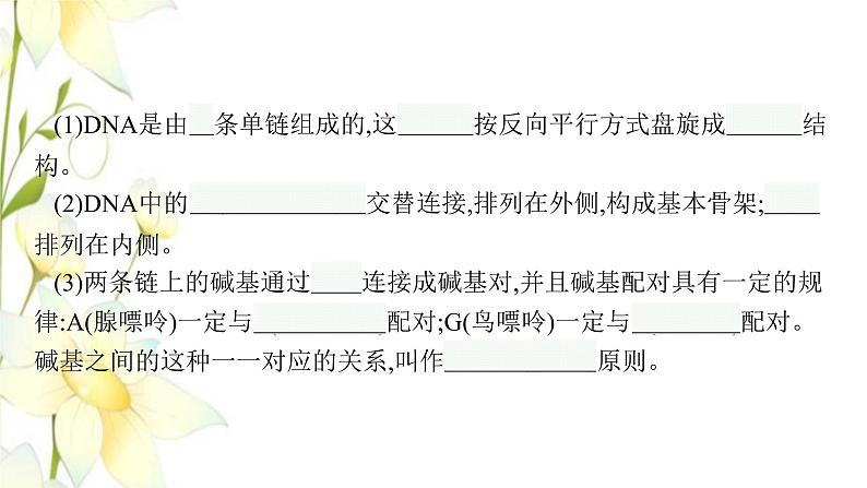 新教材高考生物一轮复习第六单元基因的本质与表达第2讲DNA的结构复制与基因的本质课件新人教版第8页