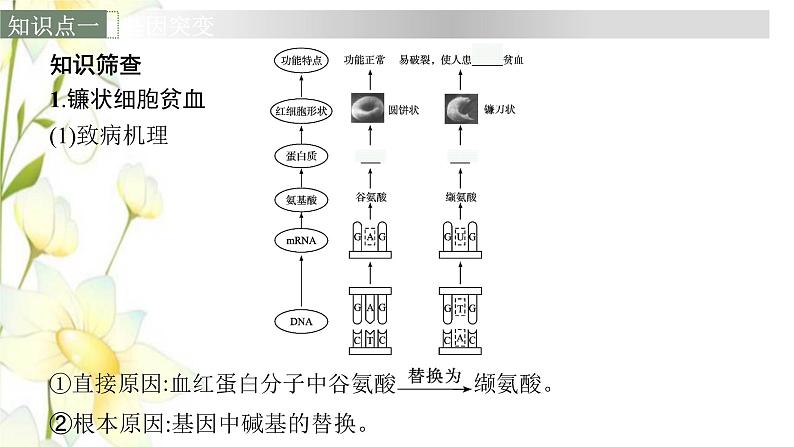 新教材高考生物一轮复习第七单元生物的变异和进化第1讲基因突变和基因重组课件新人教版第6页