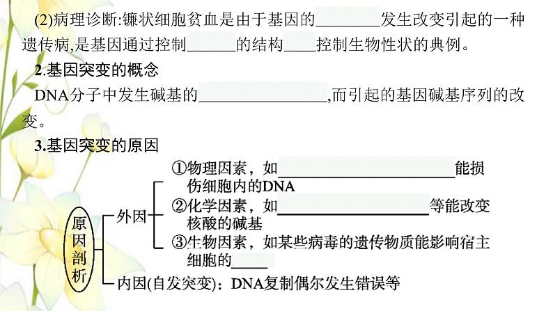 新教材高考生物一轮复习第七单元生物的变异和进化第1讲基因突变和基因重组课件新人教版第7页