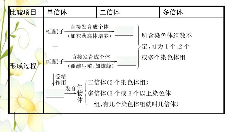 新教材高考生物一轮复习第七单元生物的变异和进化第2讲染色体变异课件新人教版第8页