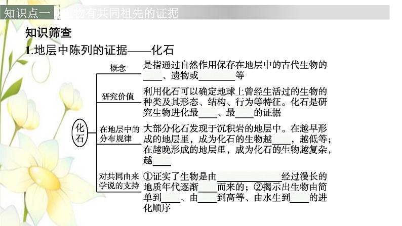 新教材高考生物一轮复习第七单元生物的变异和进化第3讲生物的进化课件新人教版第6页