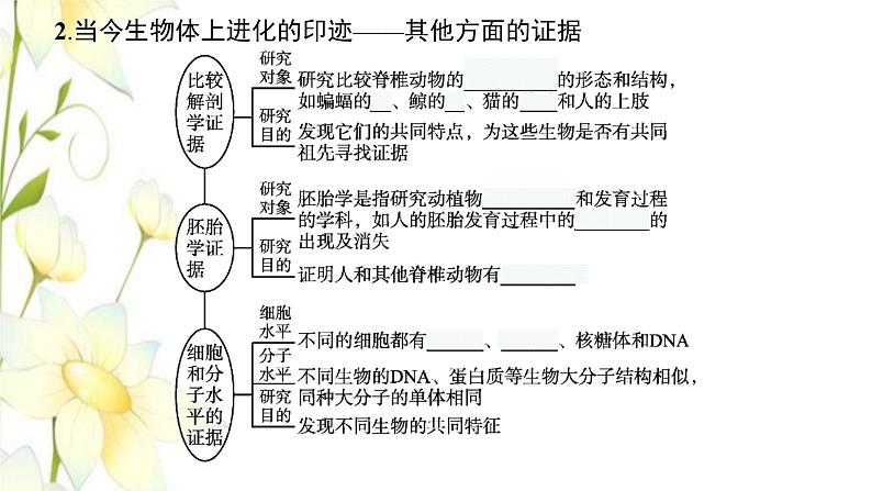 新教材高考生物一轮复习第七单元生物的变异和进化第3讲生物的进化课件新人教版第7页