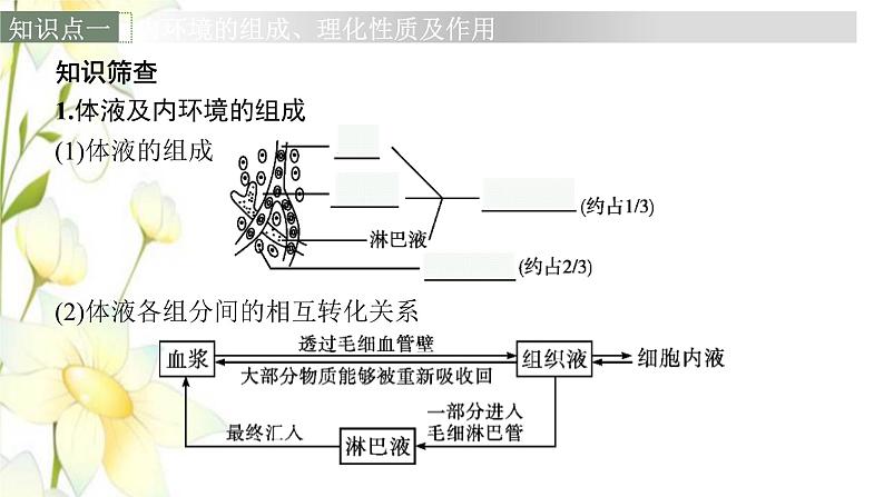 新教材高考生物一轮复习第八单元生命活动的调节第1讲人体的内环境与稳态课件新人教版第6页