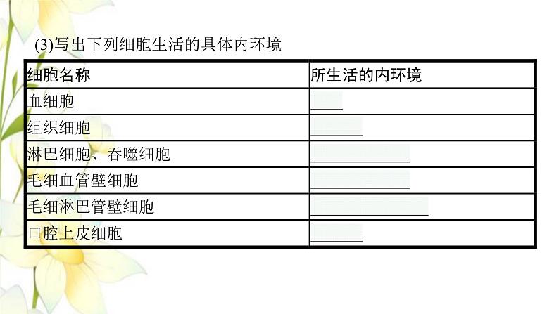 新教材高考生物一轮复习第八单元生命活动的调节第1讲人体的内环境与稳态课件新人教版第7页