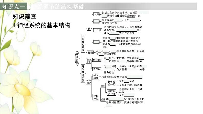 新教材高考生物一轮复习第八单元生命活动的调节第2讲神经调节课件新人教版第6页