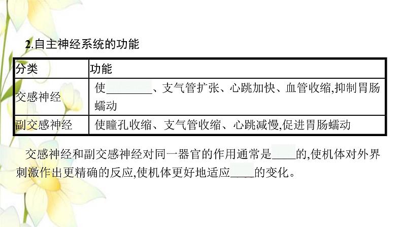 新教材高考生物一轮复习第八单元生命活动的调节第2讲神经调节课件新人教版第7页