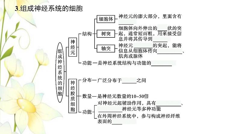 新教材高考生物一轮复习第八单元生命活动的调节第2讲神经调节课件新人教版第8页