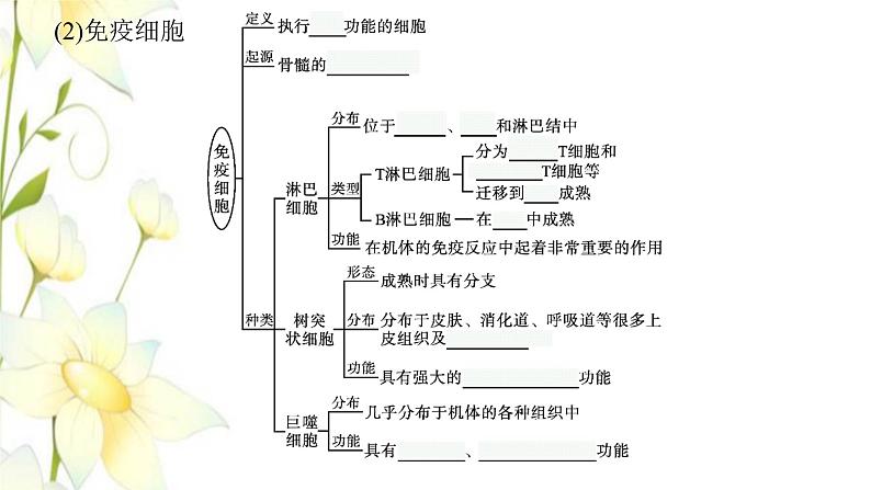 新教材高考生物一轮复习第八单元生命活动的调节第4讲免疫调节课件新人教版第7页