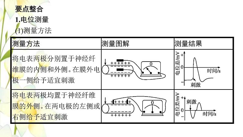 新教材高考生物一轮复习第八单元生命活动的调节能力素养提升课6电表偏转问题及兴奋传导方向的实验探究课件新人教版第4页