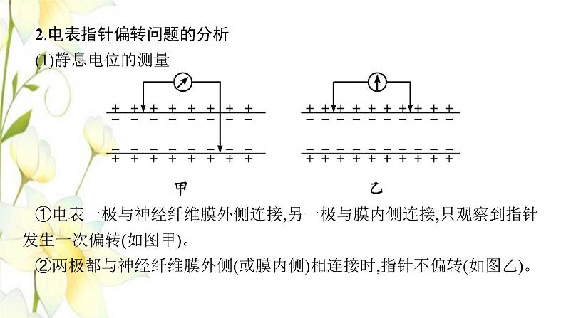 新教材高考生物一轮复习第八单元生命活动的调节能力素养提升课6电表偏转问题及兴奋传导方向的实验探究课件新人教版第6页