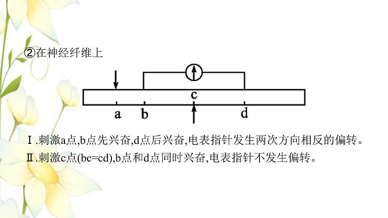 新教材高考生物一轮复习第八单元生命活动的调节能力素养提升课6电表偏转问题及兴奋传导方向的实验探究课件新人教版第8页