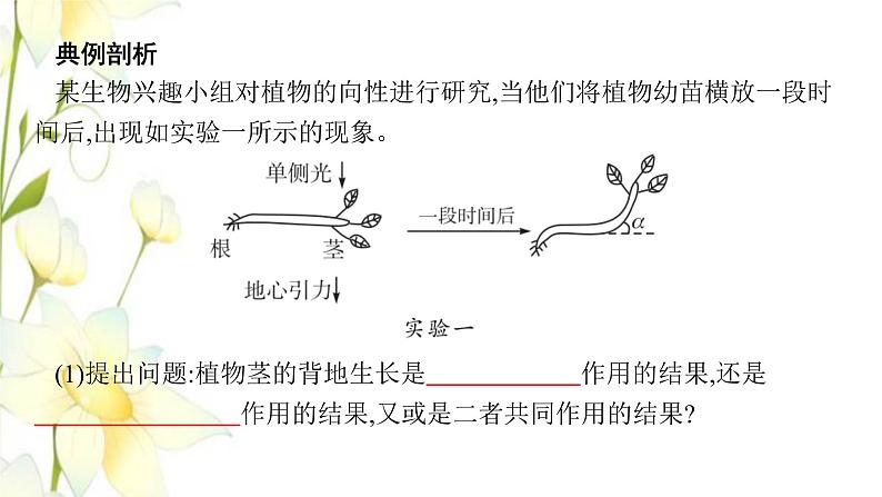 新教材高考生物一轮复习第八单元生命活动的调节能力素养提升课7与植物激素相关的实验设计课件新人教版第2页